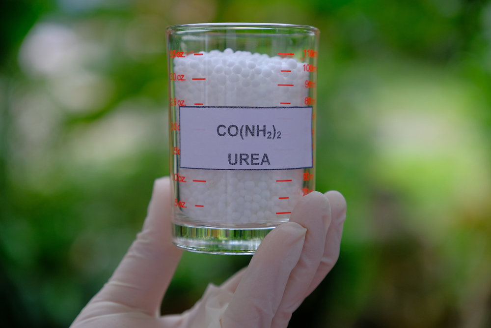 Urea,For,Substrate,And,Fertilizer,In,Agriculture