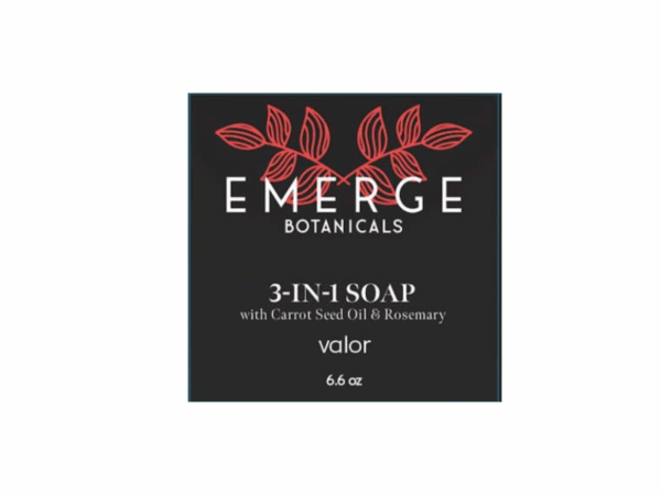 3in1 Soap Bar + valor
